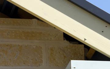 soffit repair Manley Common